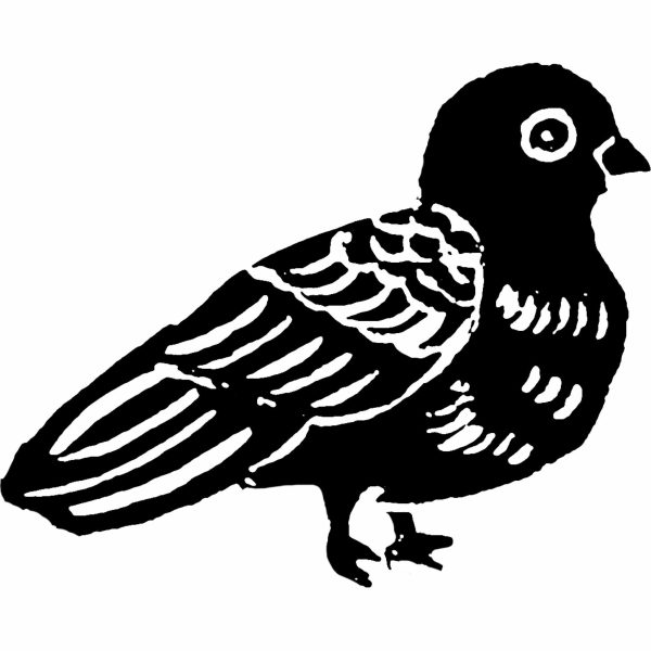 Stempel Taube Zu verkaufen – Bild 2