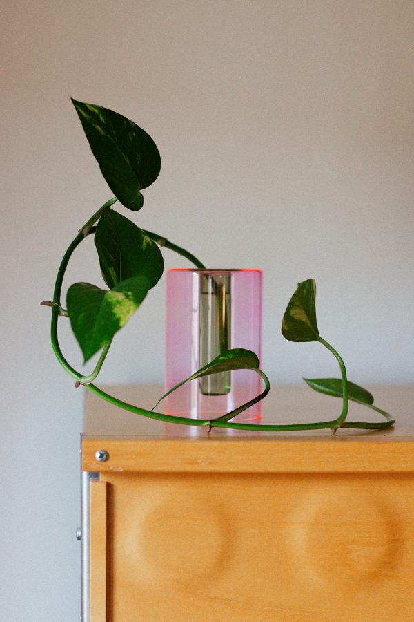Reversible Glass Vase Online – Bild 4