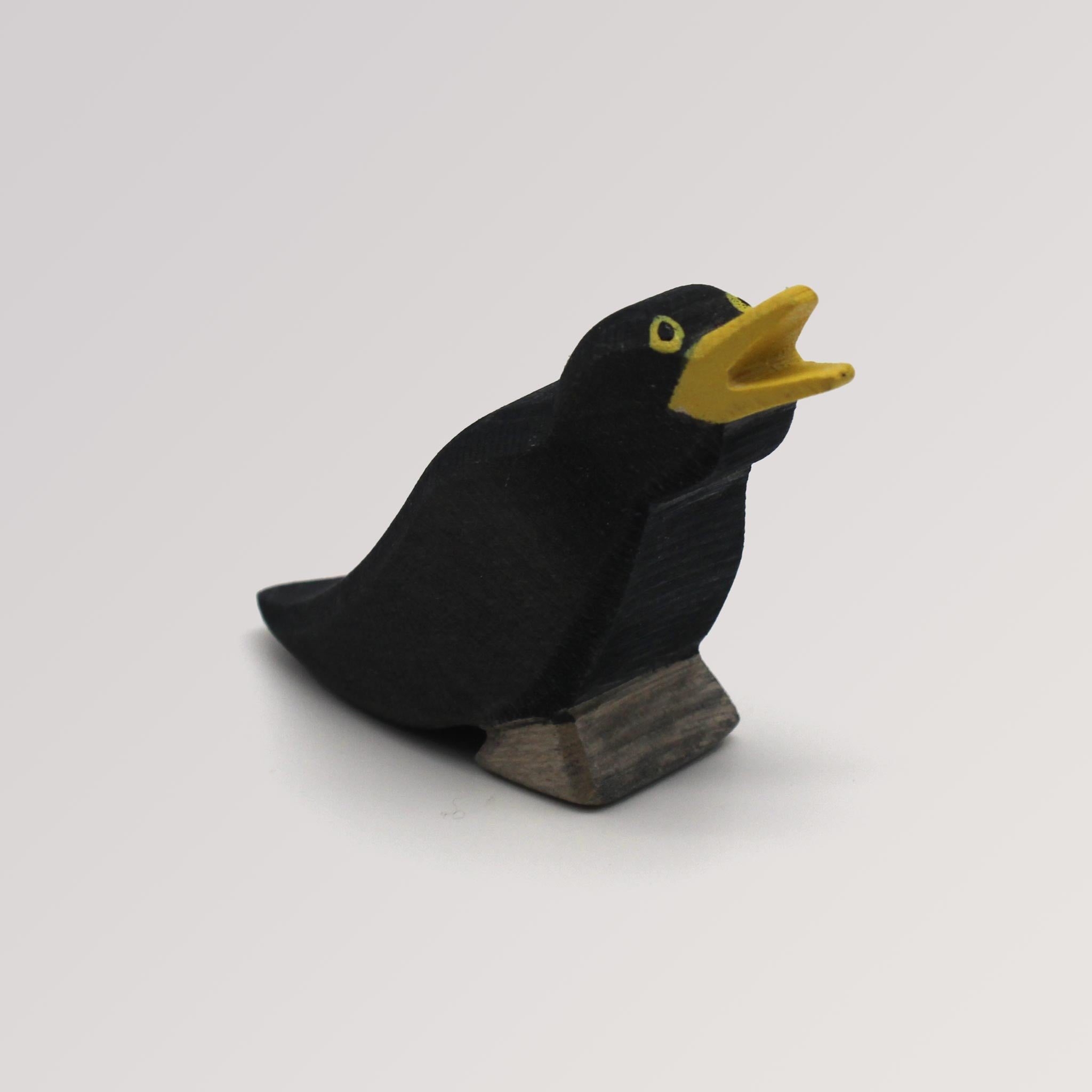Amsel Online