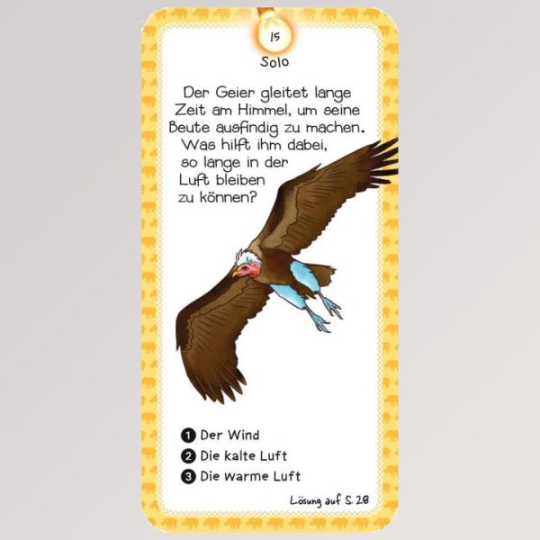 Das Quiz der Tiere Mode – Bild 4
